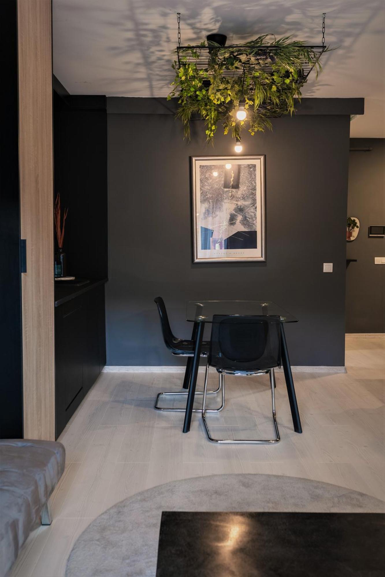 Studio No5 Segesvár Kültér fotó